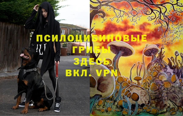 кокаин Новодвинск