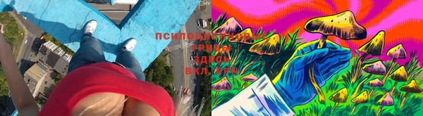 прущая мука Новозыбков