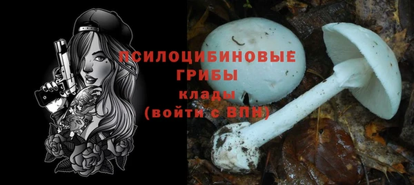 прущая мука Новозыбков
