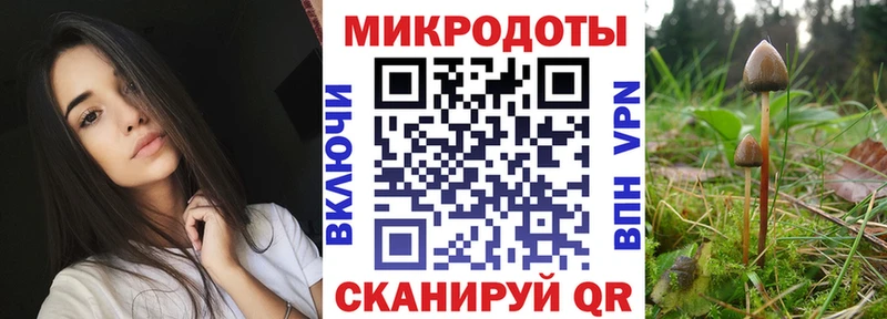 сколько стоит  Питкяранта  Псилоцибиновые грибы MAGIC MUSHROOMS 