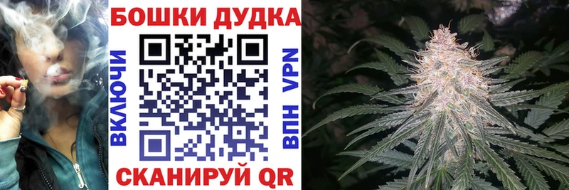 дарнет шоп  Питкяранта  Марихуана SATIVA & INDICA 